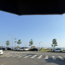 포항참가자미횟집 | [포항/북구]포항물회 현지인맛집 포항 참가자미물회 '태화횟집'