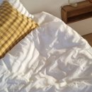 산책자의집 이미지