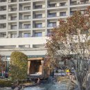 풀앤풀 | 25주 태교여행🩷 소노캄경주 웰니스 풀앤스파 후기