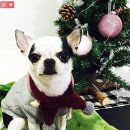 굿디자인팩토리 이미지