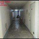 감나무골천 이미지