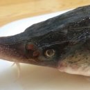 피쉬랜드낚시터 이미지