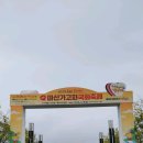 마산 가고파 국화 축제 1 이미지