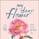 디어코코 이미지