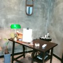 채리애견샵 이미지