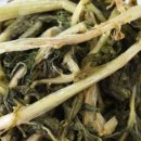 명품앤웰빙