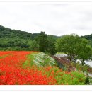 요산공원 이미지