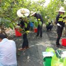 공음면사무소 이미지