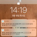 공일상사 | 🧝🏻‍♀️나도 이제 프리한 도비다~ 이 말이에요!! / 청년내일채움공제 3년형 만기후기