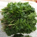 병수네농장 이미지