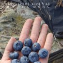 정안농산 이미지