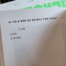 필리스 이미지
