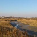 공릉천자전거도로변 이미지