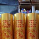 백초(남) 이미지