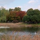 보라매공원 이미지