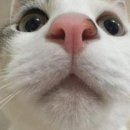 앤스토어