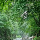 괴산펜션2 | 충북괴산 쌍곡계곡 기스락펜션 당일치기 평상대여 후기
