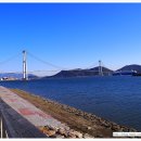 광양항 국제여객선터미널 이미지