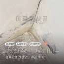 삼일아파트 | 아산 음봉면 삼일원앙아파트 습기조절 탄성코트 시공 후기!
