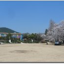 삼도남초등학교 이미지