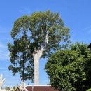 세븐일레븐 만수하늘점 | 치앙마이 Day 3 : 시련이요? 벌써요?