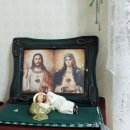 하바하바꾹 이미지