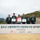 나무이노베이션 이미지
