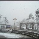 배산체육공원 축구장 이미지
