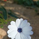 장기로 | 인천공항 장기주차 비용 요금 할인 무료 후기