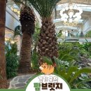 애플팜조인 | [경기] 포천 고모리 대형온실 느낌 대형카페 '팜브릿지' 내돈내산 후기