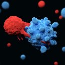 더 케이 짐 이미지