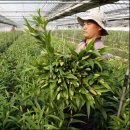 태안반도영농조합법인 이미지