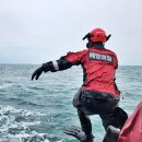 통영해양경찰서 통영파출소 이미지