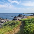 김군아미고 민박 이미지