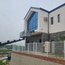 콩자반 애견유치원 이미지