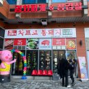 차프로통돼지 이미지