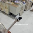 열두달펫 이미지