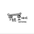 오늘은요까이 스케이트파크 네이버블로그