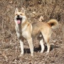 오륜상사 이미지