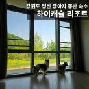 캐슬노래연습장 | 강아지 동반 정선 여행: 2025 댕댕트레킹 (하이캐슬 숙박 후기)