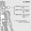 일반인이 말하는 면역력은 ‘컨디션’ 이미지