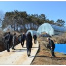 힘찬흑염소 이미지