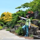 석부작박물관 이미지