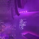 모모THE쉼 | 태연 콘서트 | 워터밤 | 모모콘 | 잔나비 공연 축제 후기
