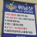 위닝샷실내테니스