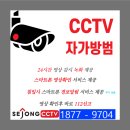 용인대 매화태권도 이미지