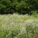 호랑이농장 이미지