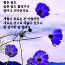 세상살이 이미지