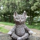 다나한방병원 이미지