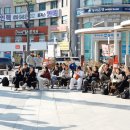 파인트리음악학원 이미지